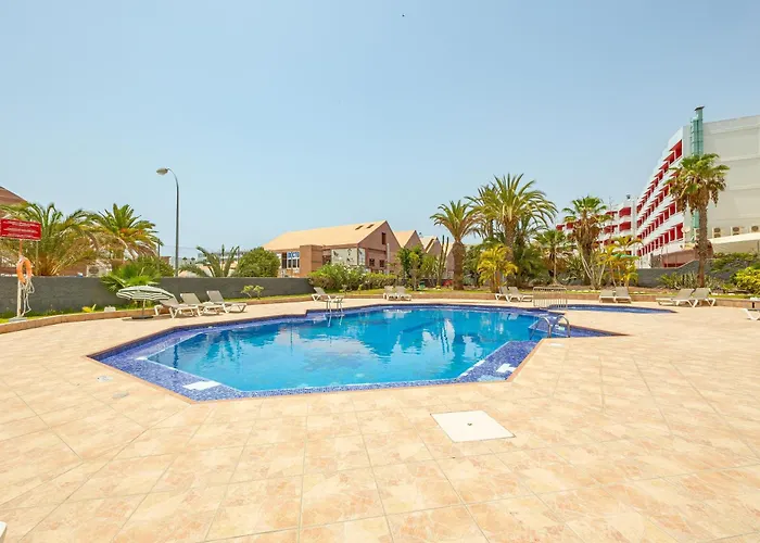 Hdfm Collection - Yumbo Centrum